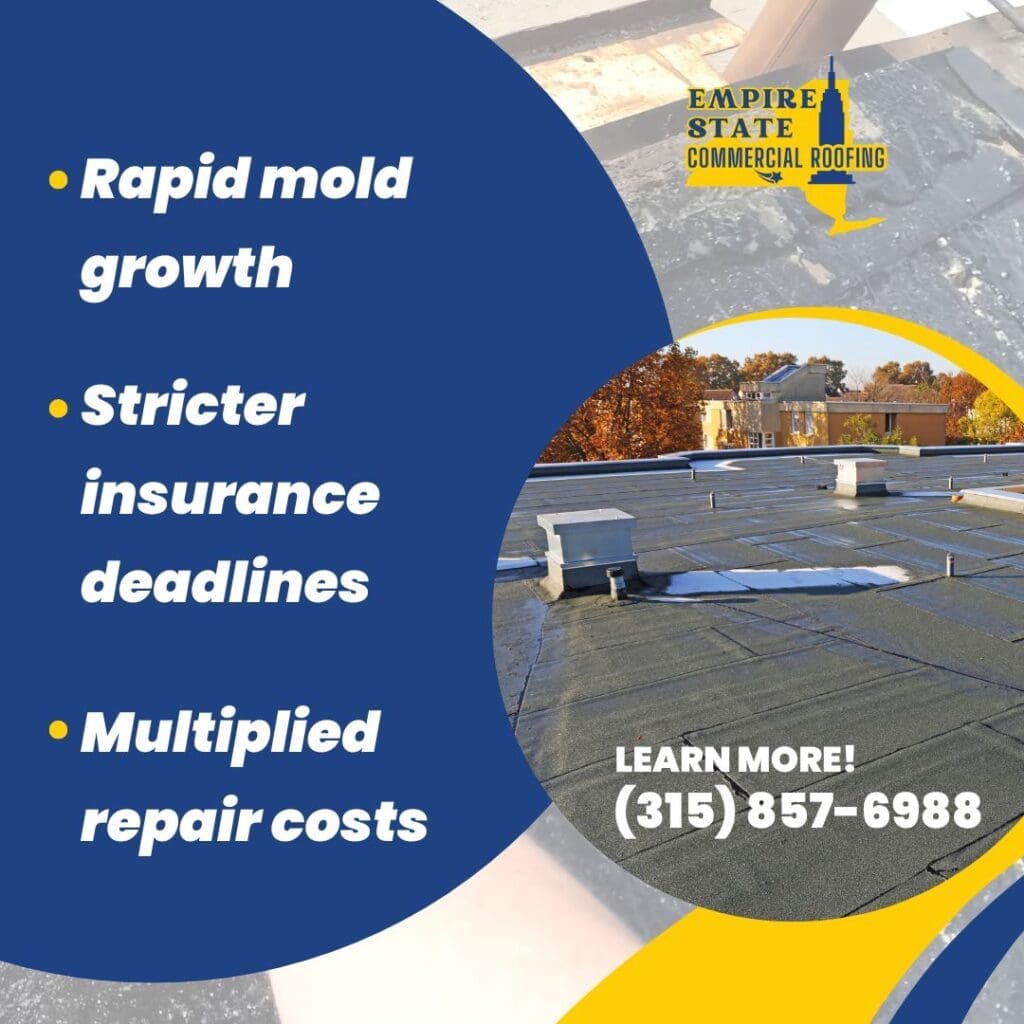 Roof with storm damage requiring immediate repairs